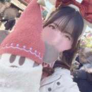 ヒメ日記 2025/11/27 15:19 投稿 うさぎ CECIL