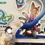 ヒメ日記 2025/12/08 12:11 投稿 うさぎ CECIL