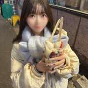 ヒメ日記 2025/12/14 12:08 投稿 うさぎ CECIL