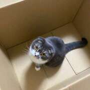 ヒメ日記 2025/08/11 21:15 投稿 れい ドMなバニーちゃん すすきの店