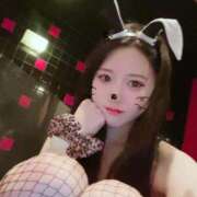 ヒメ日記 2025/08/14 12:05 投稿 れい ドMなバニーちゃん すすきの店