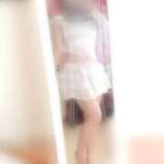 ヒメ日記 2025/07/16 21:17 投稿 さき 子猫カフェ 小倉店