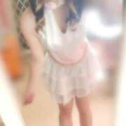 ヒメ日記 2025/07/16 21:46 投稿 さき 子猫カフェ 小倉店