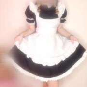 ヒメ日記 2025/07/18 19:32 投稿 さき 子猫カフェ 小倉店