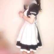 ヒメ日記 2025/07/18 20:03 投稿 さき 子猫カフェ 小倉店