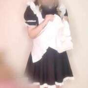 ヒメ日記 2025/07/20 22:02 投稿 さき 子猫カフェ 小倉店