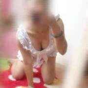 ヒメ日記 2025/08/12 22:03 投稿 さき 子猫カフェ 小倉店