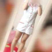 ヒメ日記 2025/08/14 23:02 投稿 さき 子猫カフェ 小倉店