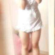 ヒメ日記 2025/09/13 01:03 投稿 さき 子猫カフェ 小倉店