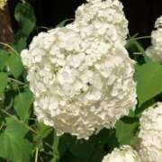 ヒメ日記 2025/07/05 19:03 投稿 まひる ゆるふわKISS