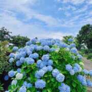 ヒメ日記 2025/07/11 14:59 投稿 まひる ゆるふわKISS