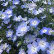 ヒメ日記 2025/07/25 18:22 投稿 まひる ゆるふわKISS