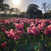 ヒメ日記 2025/08/01 02:57 投稿 まひる ゆるふわKISS