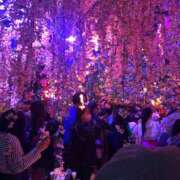 ヒメ日記 2025/08/02 20:16 投稿 まひる ゆるふわKISS