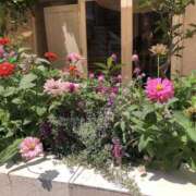 ヒメ日記 2025/08/18 00:25 投稿 まひる ゆるふわKISS