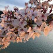 ヒメ日記 2025/09/13 01:35 投稿 まひる ゆるふわKISS