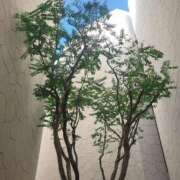 ヒメ日記 2025/09/23 02:16 投稿 まひる ゆるふわKISS