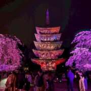 ヒメ日記 2026/04/02 11:47 投稿 まひる ゆるふわKISS