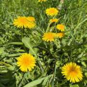 ヒメ日記 2026/04/07 00:53 投稿 まひる ゆるふわKISS