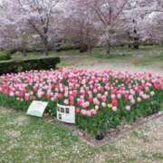 ヒメ日記 2026/04/14 12:19 投稿 まひる ゆるふわKISS