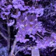 ヒメ日記 2026/04/16 09:38 投稿 まひる ゆるふわKISS