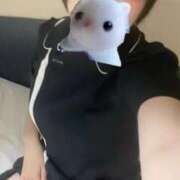 ヒメ日記 2025/09/17 01:14 投稿 riko 濃密バブルSPA VIP