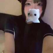 ヒメ日記 2025/11/13 02:14 投稿 riko 濃密バブルSPA VIP