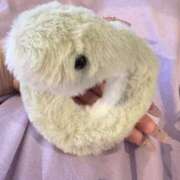 ヒメ日記 2025/08/15 21:19 投稿 なぎさ スリーパラダイス