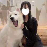 ヒメ日記 2025/11/30 19:39 投稿 なぎさ スリーパラダイス