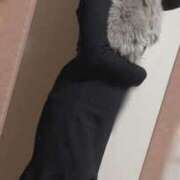 みれい☆竹 久しぶりの出勤 五十妻（イソップ）40代～60代　山口・防府店