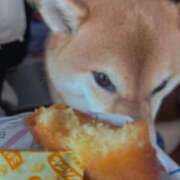 ヒメ日記 2025/08/01 15:15 投稿 こころ ぷるるん小町日本橋店