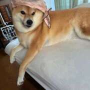 ヒメ日記 2026/01/25 18:05 投稿 こころ ぷるるん小町日本橋店