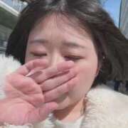 ヒメ日記 2026/03/17 11:12 投稿 こころ ぷるるん小町日本橋店