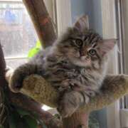 ヒメ日記 2025/07/04 14:01 投稿 つかさ 三重四日市ちゃんこ