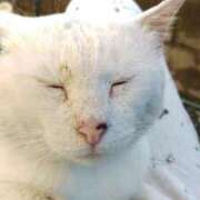 つかさ あっつーい❣️ 三重四日市ちゃんこ