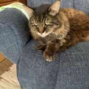 つかさ おやすみです❣️ 三重四日市ちゃんこ