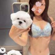 ヒメ日記 2025/07/24 10:04 投稿 ひめの★元祖清楚女子アナ系美女 Bell～S級美女お姉様・人妻デリヘル～