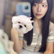 ヒメ日記 2025/07/27 15:09 投稿 ひめの★元祖清楚女子アナ系美女 Bell～S級美女お姉様・人妻デリヘル～