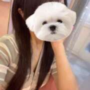 ヒメ日記 2025/07/28 00:45 投稿 ひめの★元祖清楚女子アナ系美女 Bell～S級美女お姉様・人妻デリヘル～