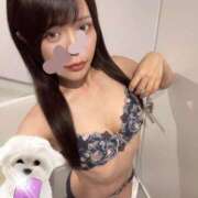 ヒメ日記 2025/07/28 04:54 投稿 ひめの★元祖清楚女子アナ系美女 Bell～S級美女お姉様・人妻デリヘル～