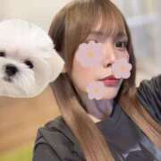 ヒメ日記 2025/08/07 22:23 投稿 ひめの★元祖清楚女子アナ系美女 Bell～S級美女お姉様・人妻デリヘル～