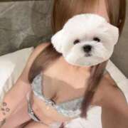 ヒメ日記 2025/08/09 03:09 投稿 ひめの★元祖清楚女子アナ系美女 Bell～S級美女お姉様・人妻デリヘル～