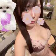 ヒメ日記 2025/08/11 04:35 投稿 ひめの★元祖清楚女子アナ系美女 Bell～S級美女お姉様・人妻デリヘル～