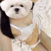 ヒメ日記 2025/08/12 22:41 投稿 ひめの★元祖清楚女子アナ系美女 Bell～S級美女お姉様・人妻デリヘル～