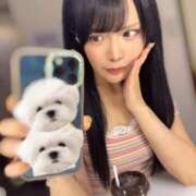 ヒメ日記 2025/08/19 03:11 投稿 ひめの★元祖清楚女子アナ系美女 Bell～S級美女お姉様・人妻デリヘル～