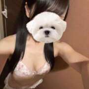 ヒメ日記 2025/08/19 21:36 投稿 ひめの★元祖清楚女子アナ系美女 Bell～S級美女お姉様・人妻デリヘル～