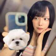 ヒメ日記 2025/08/20 18:14 投稿 ひめの★元祖清楚女子アナ系美女 Bell～S級美女お姉様・人妻デリヘル～