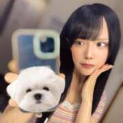 ヒメ日記 2025/08/24 14:04 投稿 ひめの★元祖清楚女子アナ系美女 Bell～S級美女お姉様・人妻デリヘル～