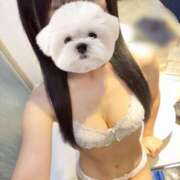 ヒメ日記 2025/08/30 06:03 投稿 ひめの★元祖清楚女子アナ系美女 Bell～S級美女お姉様・人妻デリヘル～