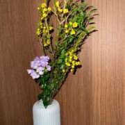 ヒメ日記 2025/09/01 12:35 投稿 ひめの★元祖清楚女子アナ系美女 Bell～S級美女お姉様・人妻デリヘル～